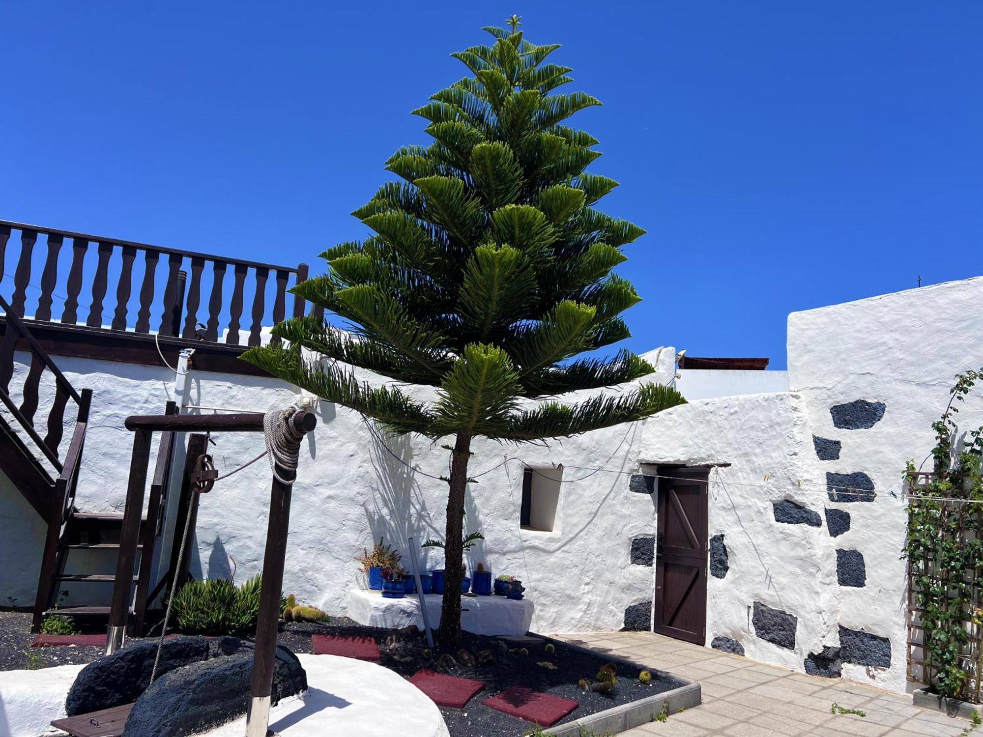 הוילה San Bartolomé Casa Rural Estilo Canario מראה חיצוני תמונה